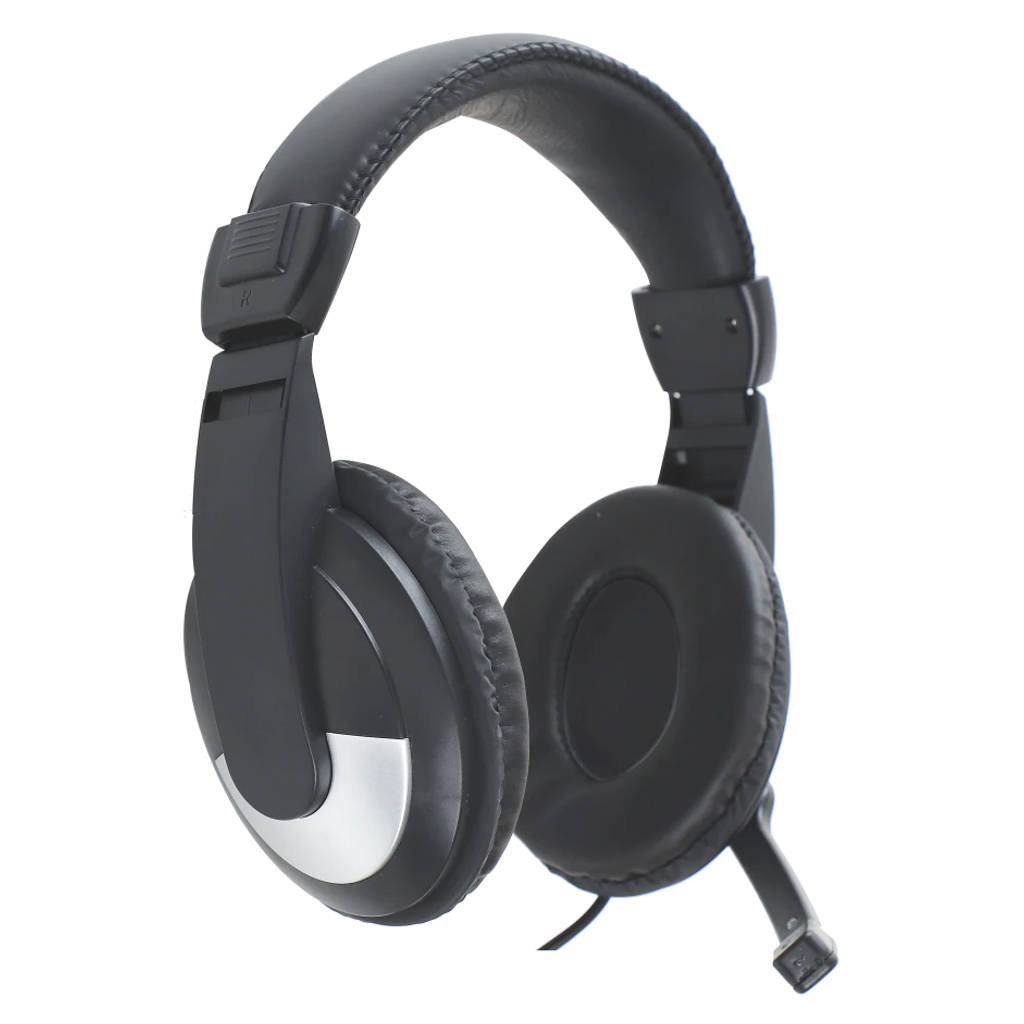 Foxin Dynamic Wired Dual Pin Headphones