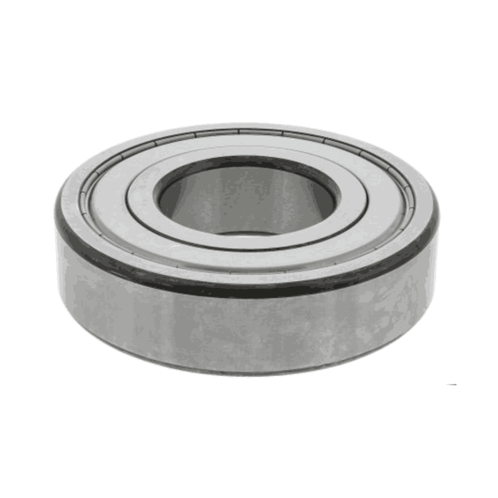 Fag Deep Groove Ball Bearing 6309 Z