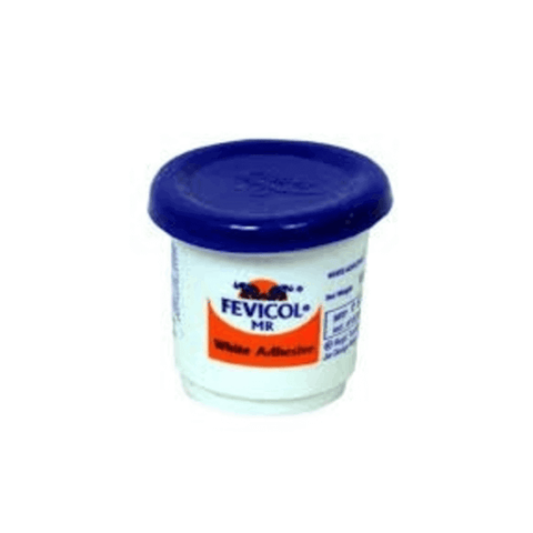 Fevicol MR White Adhesive 12 Grams 