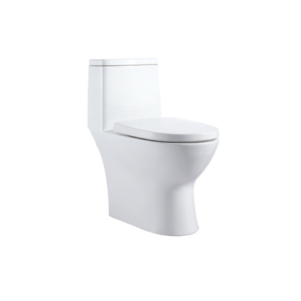 Parryware Blaze Single Piece Toilet white C8904