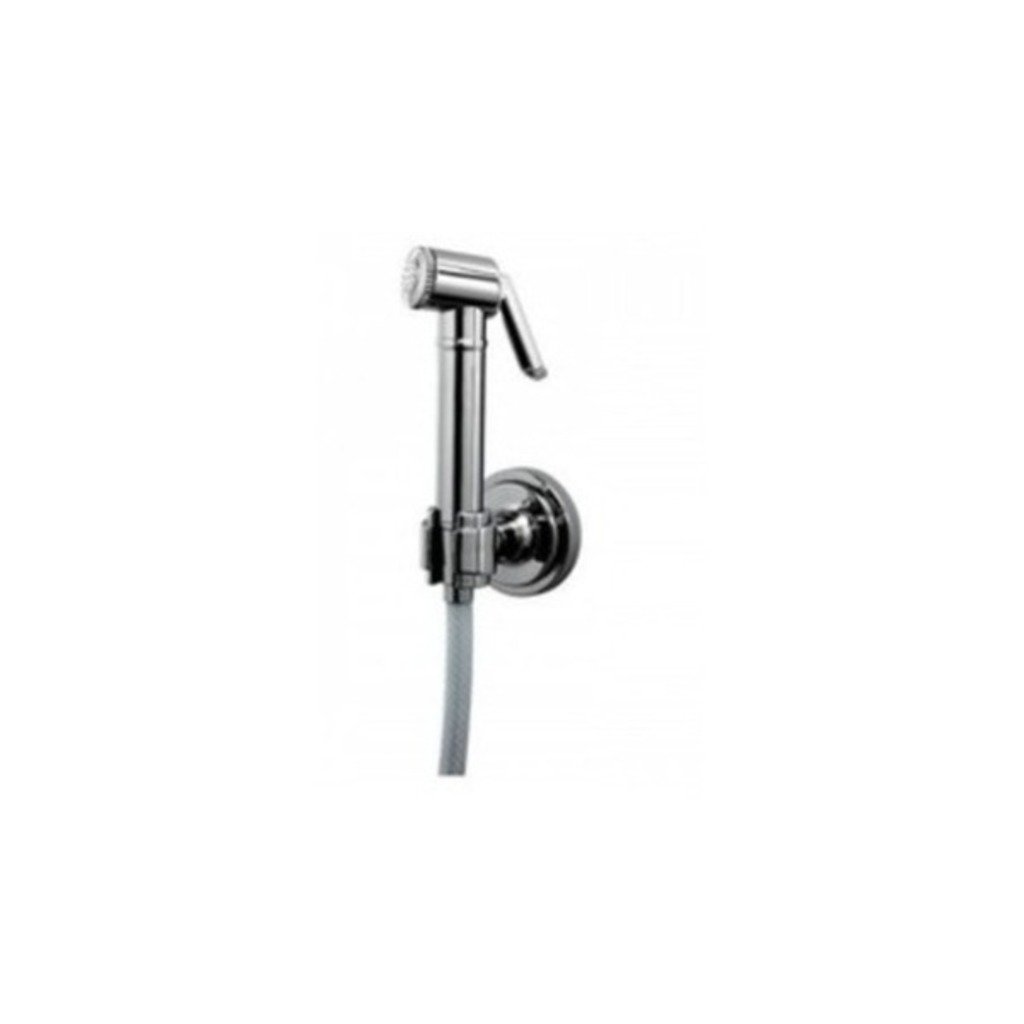 Parryware Cardiff Brass Health Faucet T9941A1