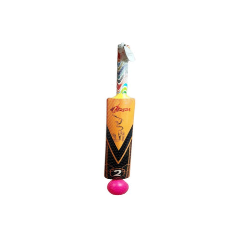 RPI Cricket Bat with ball 