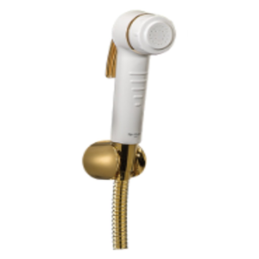 Asian Paints Royale Signature Shower REHF701
